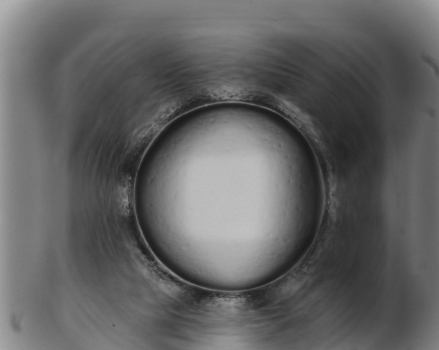 X0000103230065200809041034