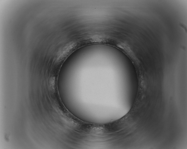 X0000103230066200809041034