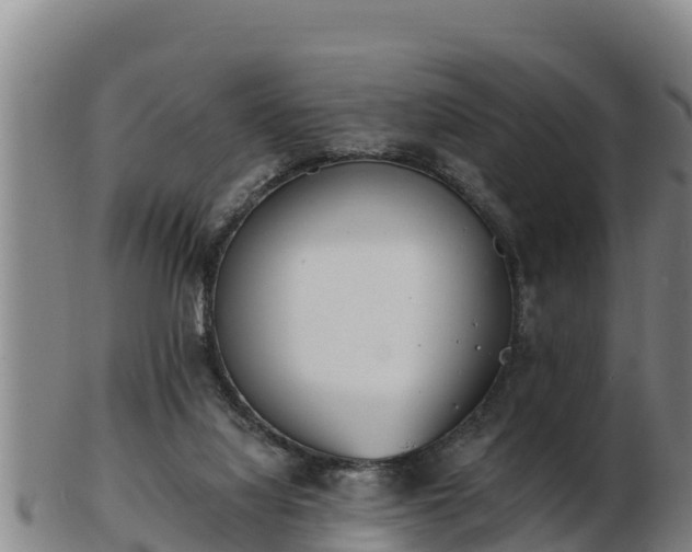 X0000103230068200809041034