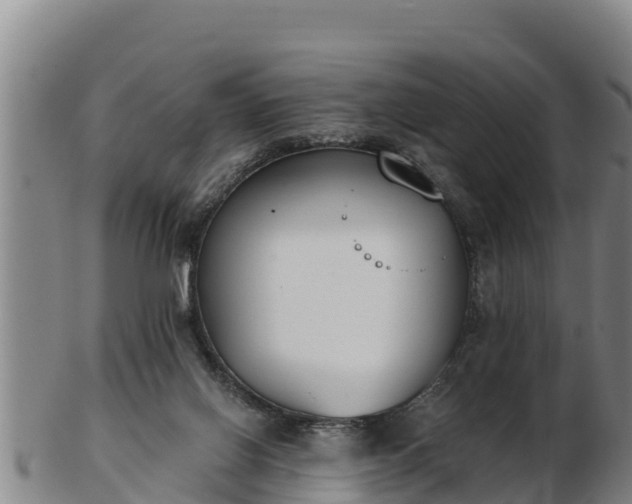 X0000103230070200809041034