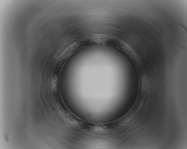 X0000103230073200809041034