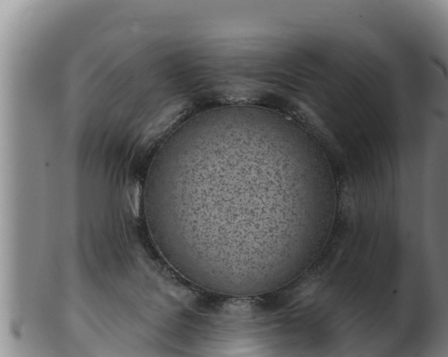 X0000103230076200809041034