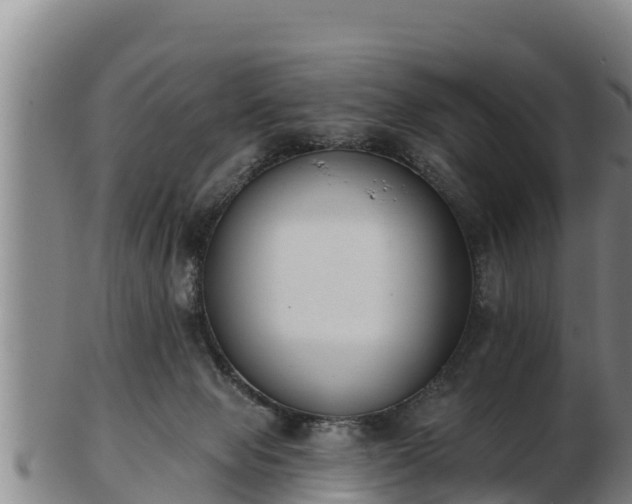 X0000103230077200809041034