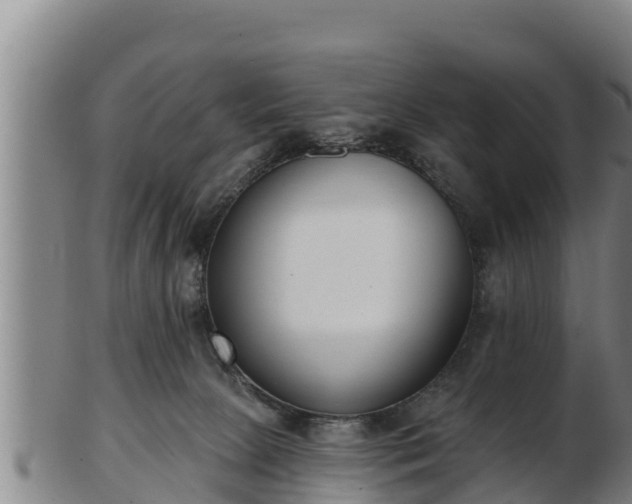 X0000103230081200809041034