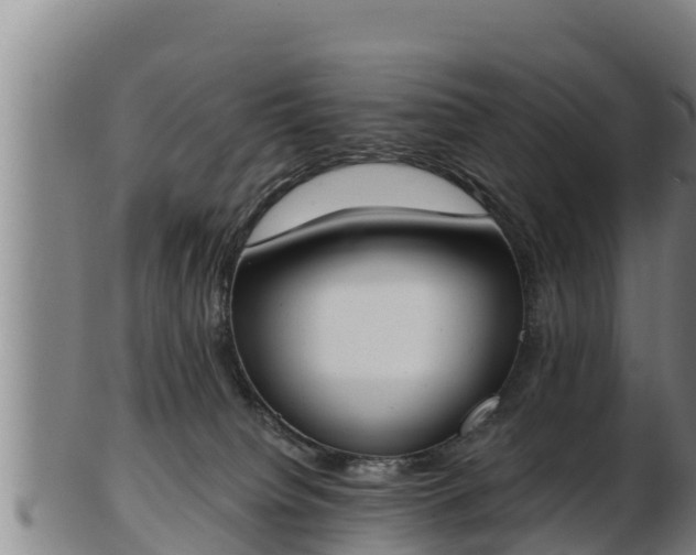 X0000103230084200809041034