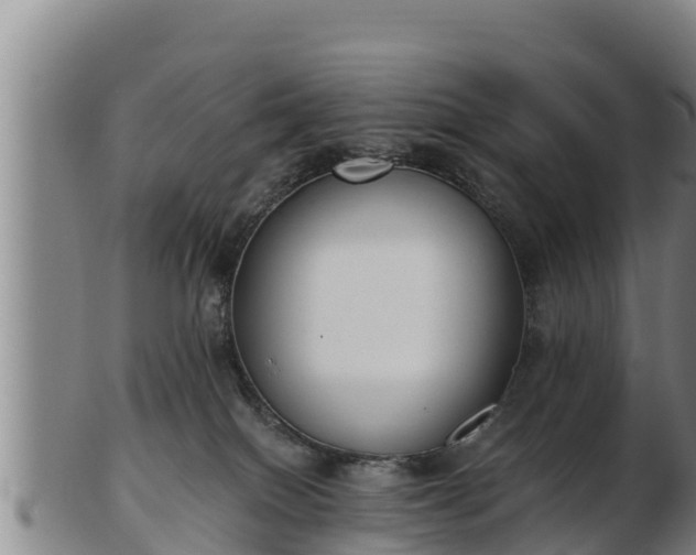 X0000103230086200809041034