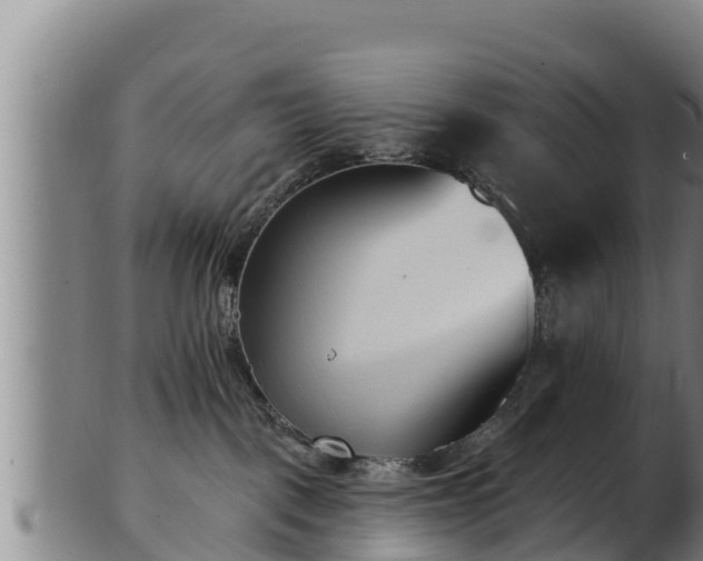 X0000103230093200809041034