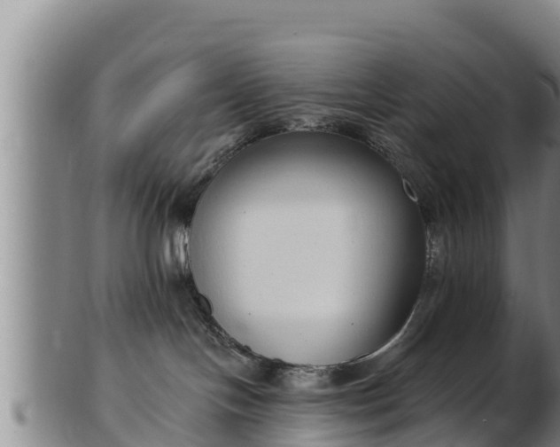 X0000103230094200809041034