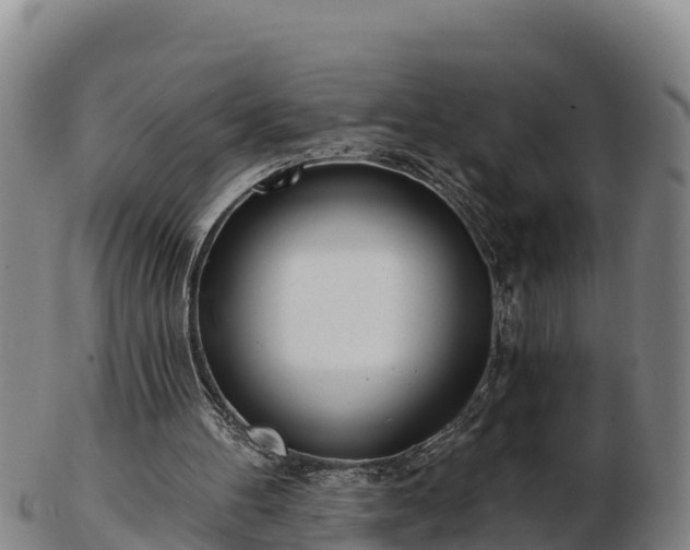 X0000103230100200809041033