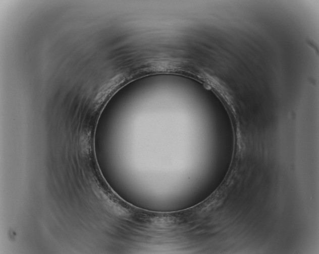 X0000103230105200809041033