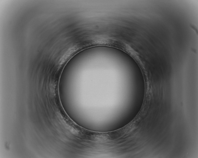 X0000103230106200809041033
