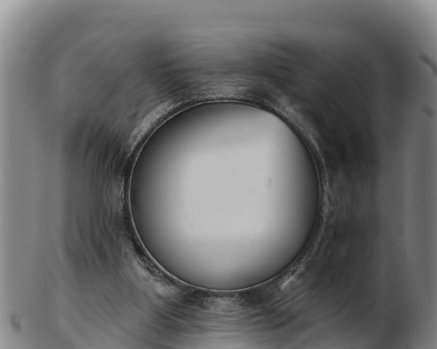 X0000103230107200809041033