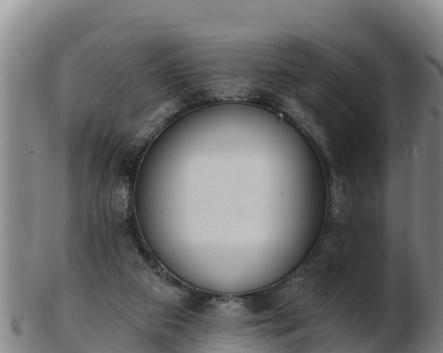 X0000103230113200809041033