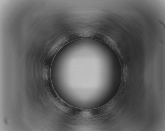 X0000103230114200809041033