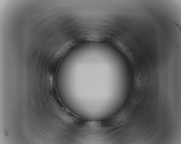 X0000103230117200809041033
