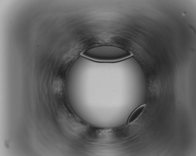 X0000103230132200809041033