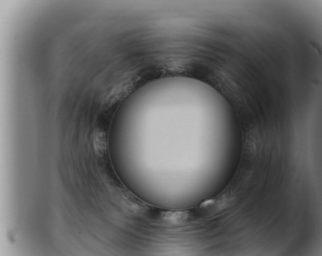 X0000103230135200809041033