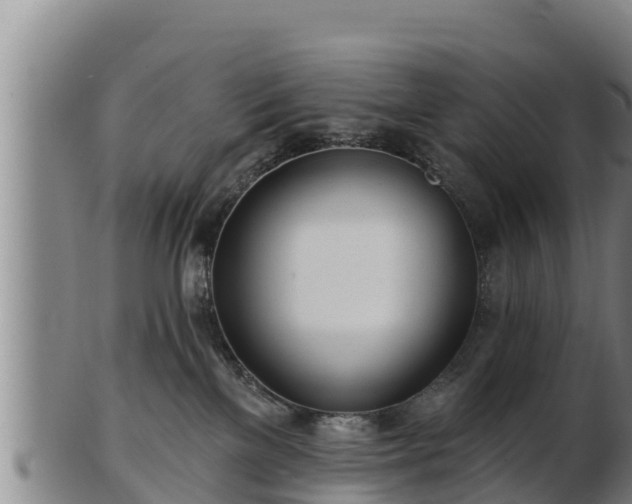 X0000103230137200809041033