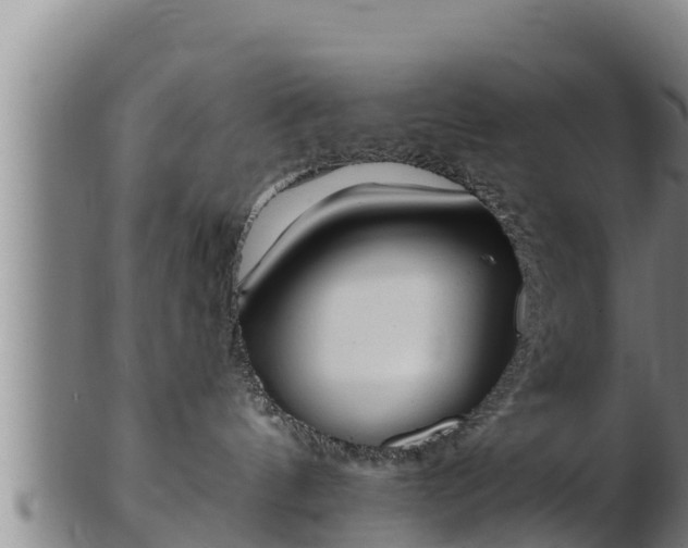 X0000103230144200809041033