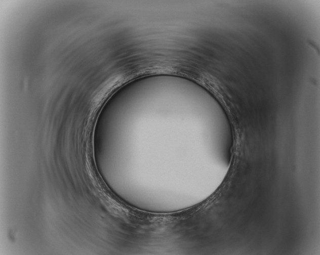 X0000103230145200809041032