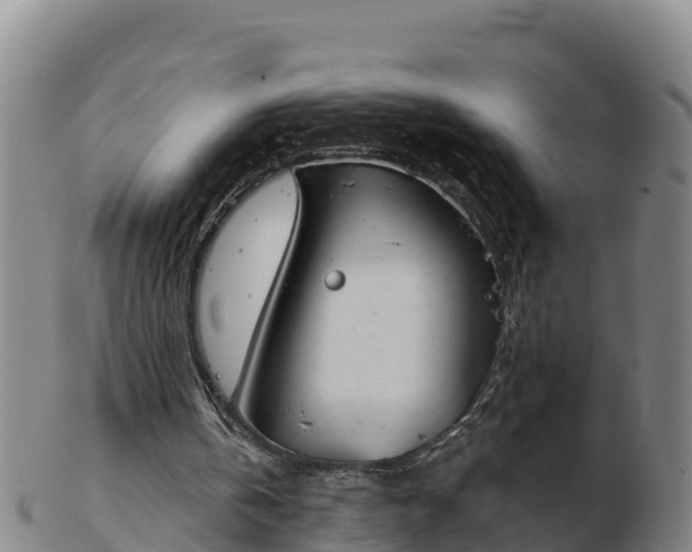 X0000103230146200809041032