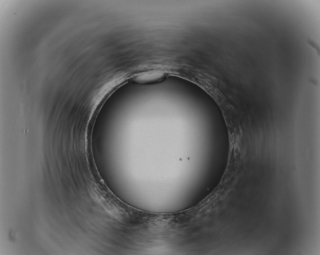 X0000103230148200809041032