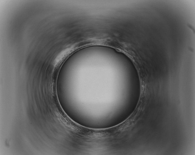 X0000103230149200809041032