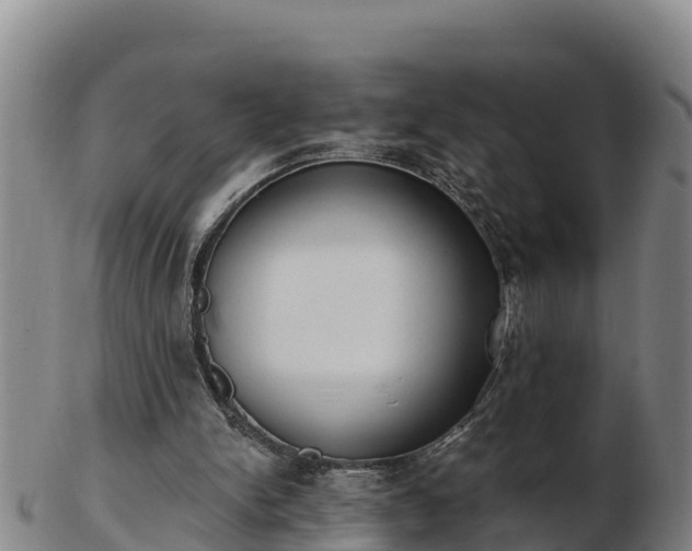 X0000103230150200809041032