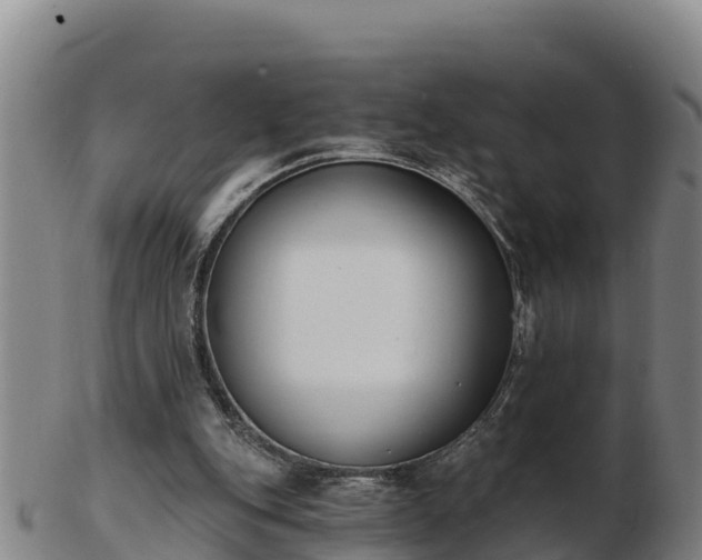 X0000103230151200809041032