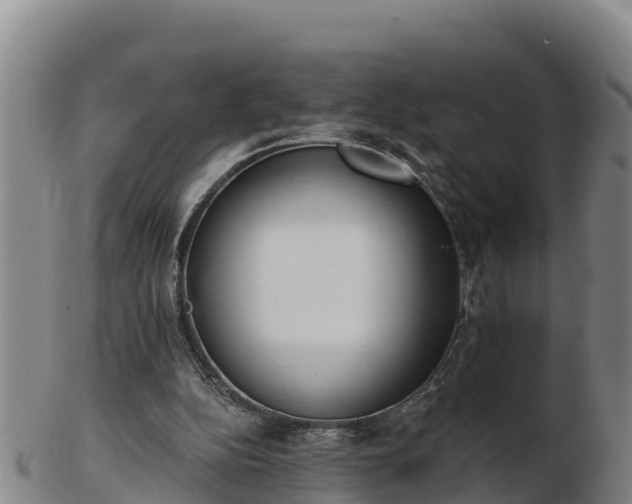 X0000103230152200809041032
