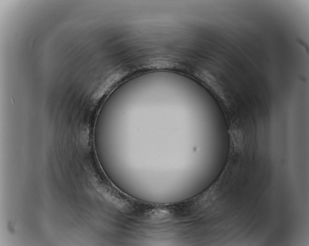 X0000103230159200809041032