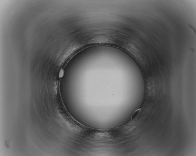 X0000103230160200809041032