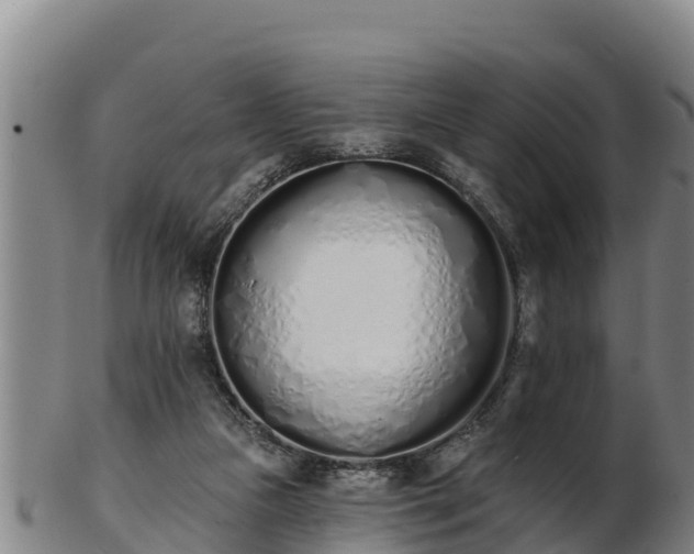 X0000103230161200809041032