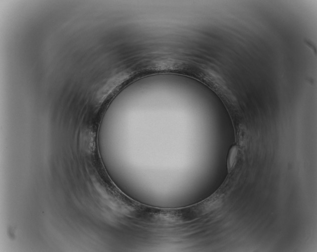 X0000103230164200809041032