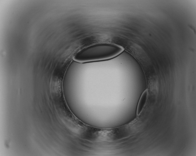 X0000103230172200809041032