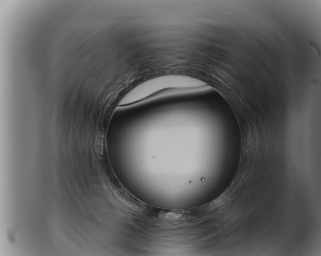 X0000103230180200809041032