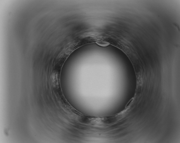 X0000103230182200809041032