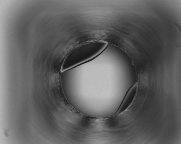 X0000103230184200809041033