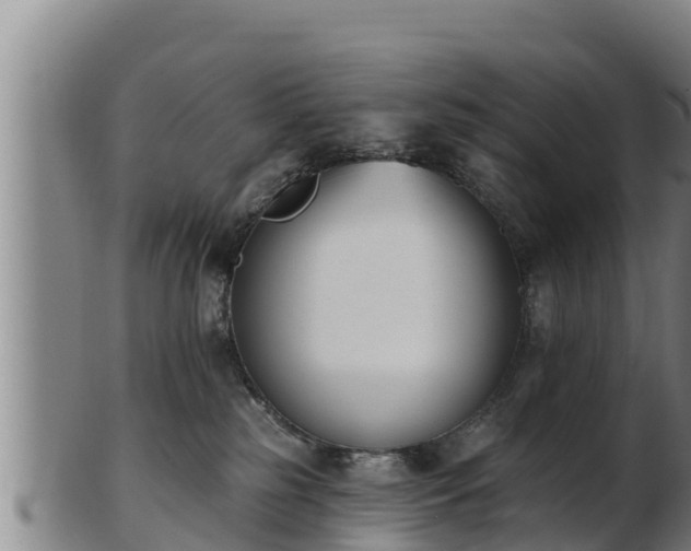 X0000103230185200809041033