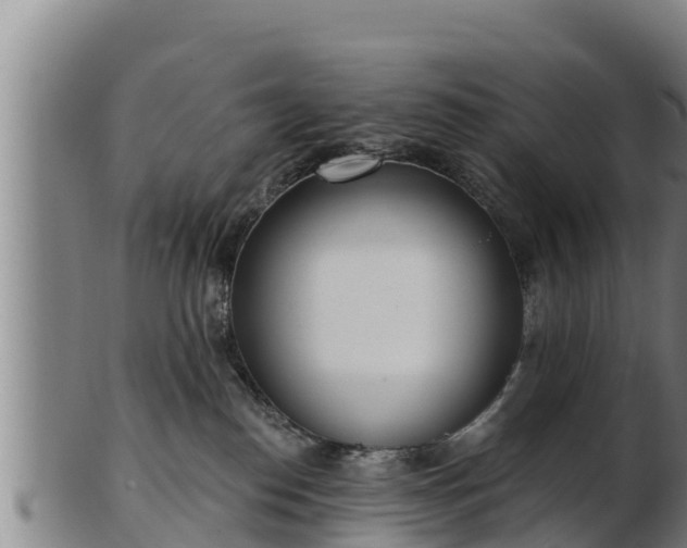 X0000103230186200809041033