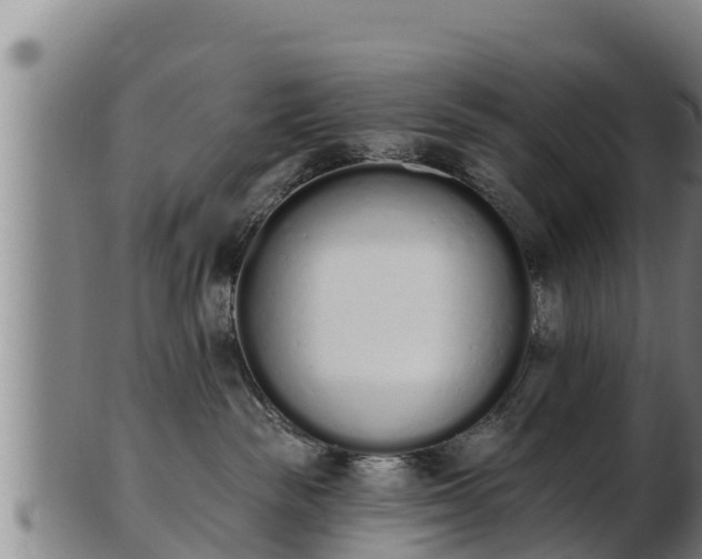 X0000103230189200809041033