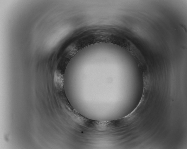 X0000103230191200809041033