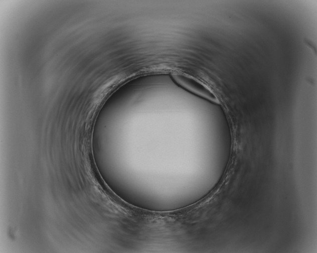 X0000103230193200809041032