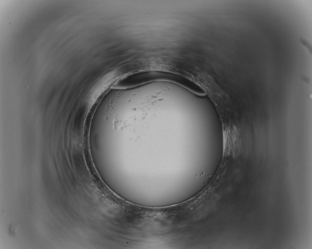 X0000103230195200809041032
