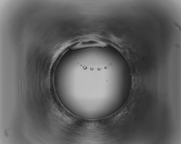 X0000103230200200809041032