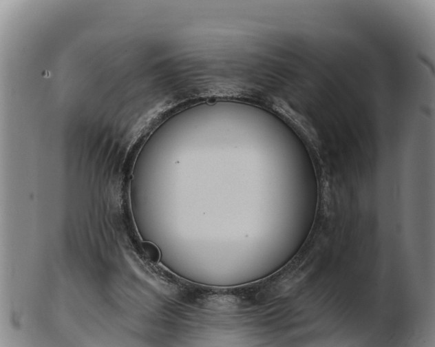 X0000103230203200809041032