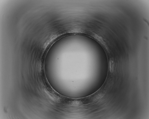 X0000103230204200809041032