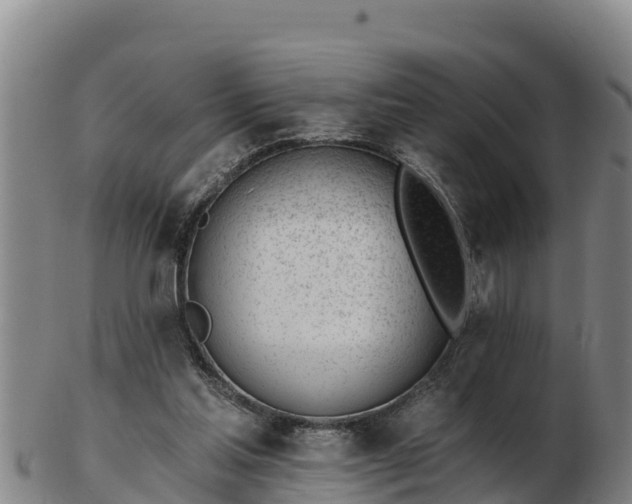 X0000103230205200809041032