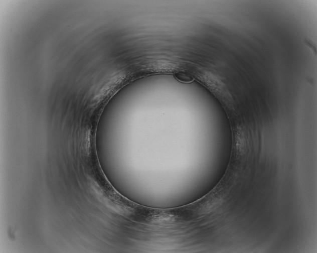 X0000103230206200809041032