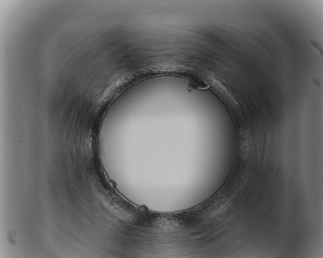 X0000103230207200809041032